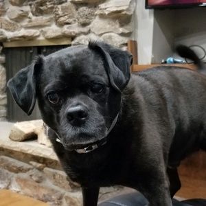 Meet your Posher, April